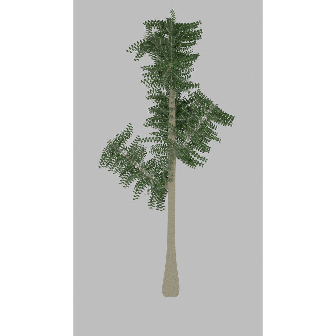 Tree 3D Model – Low Poly with Four Foliage Types, Blender - View 5