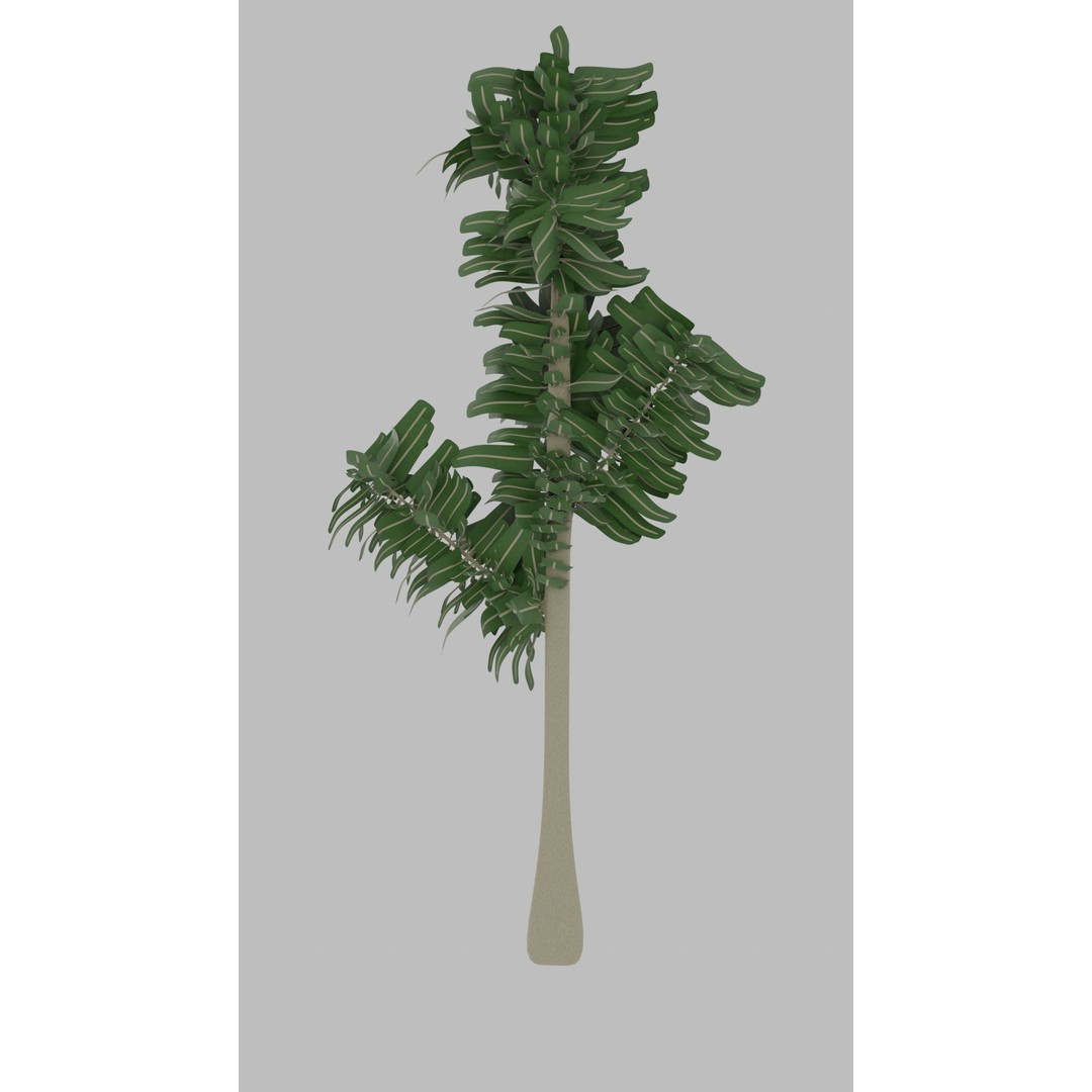 Tree 3D Model – Low Poly with Four Foliage Types, Blender - View 6