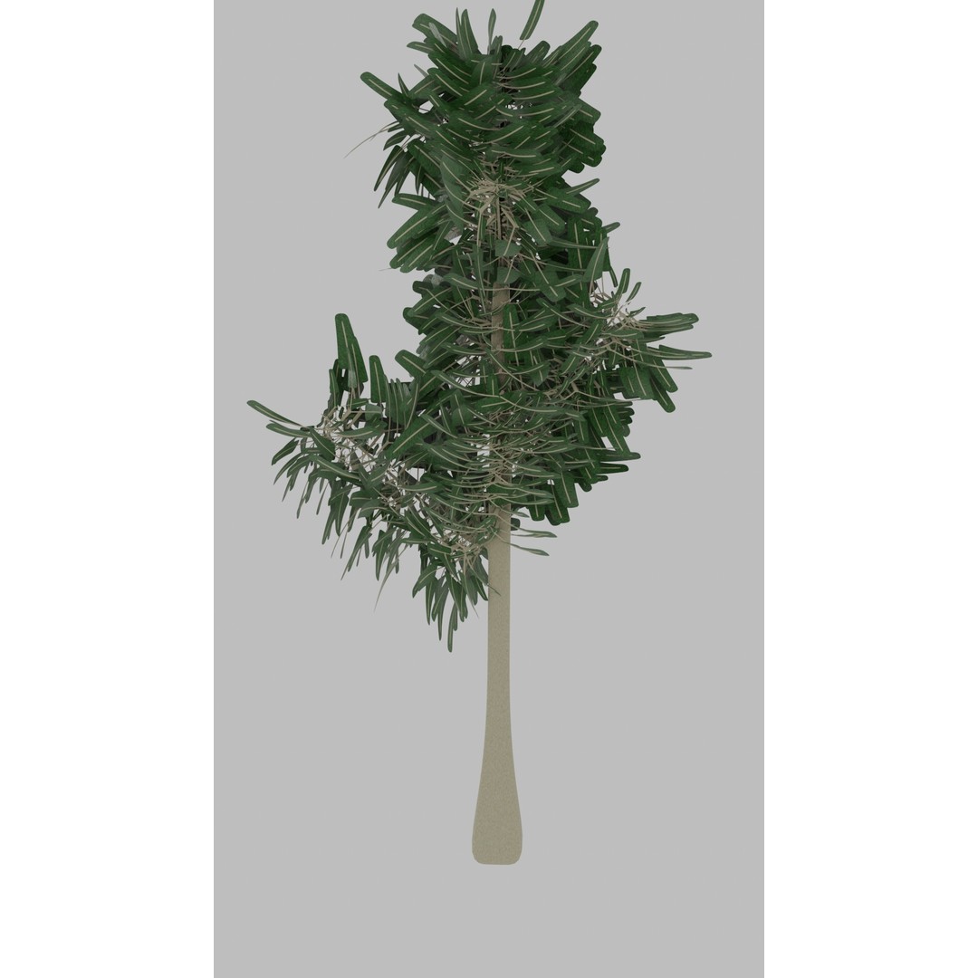 Tree 3D Model – Low Poly with Four Foliage Types, Blender - View 7