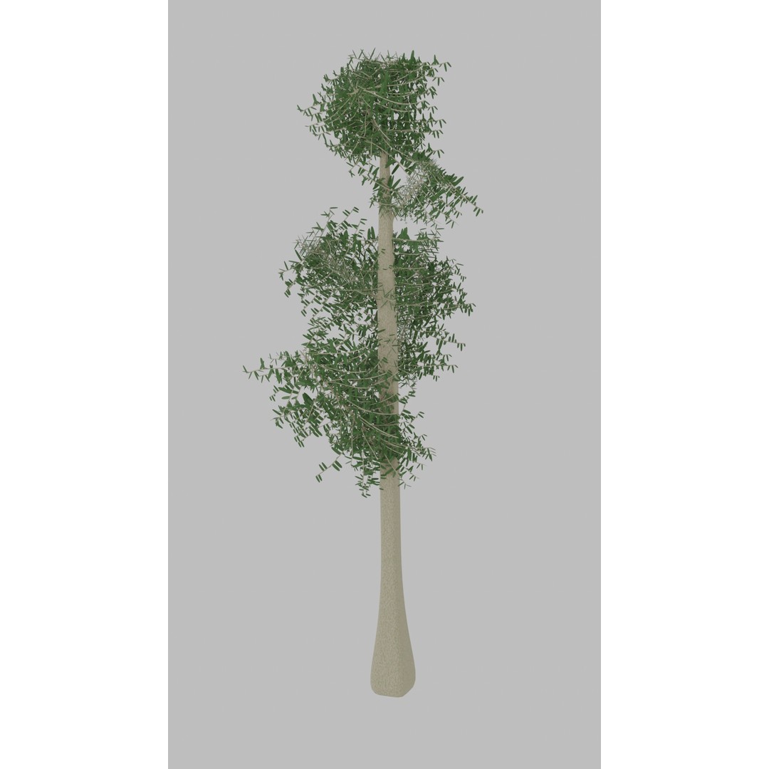 Tree 3D Model – Low Poly with Four Foliage Types, Blender - View 8