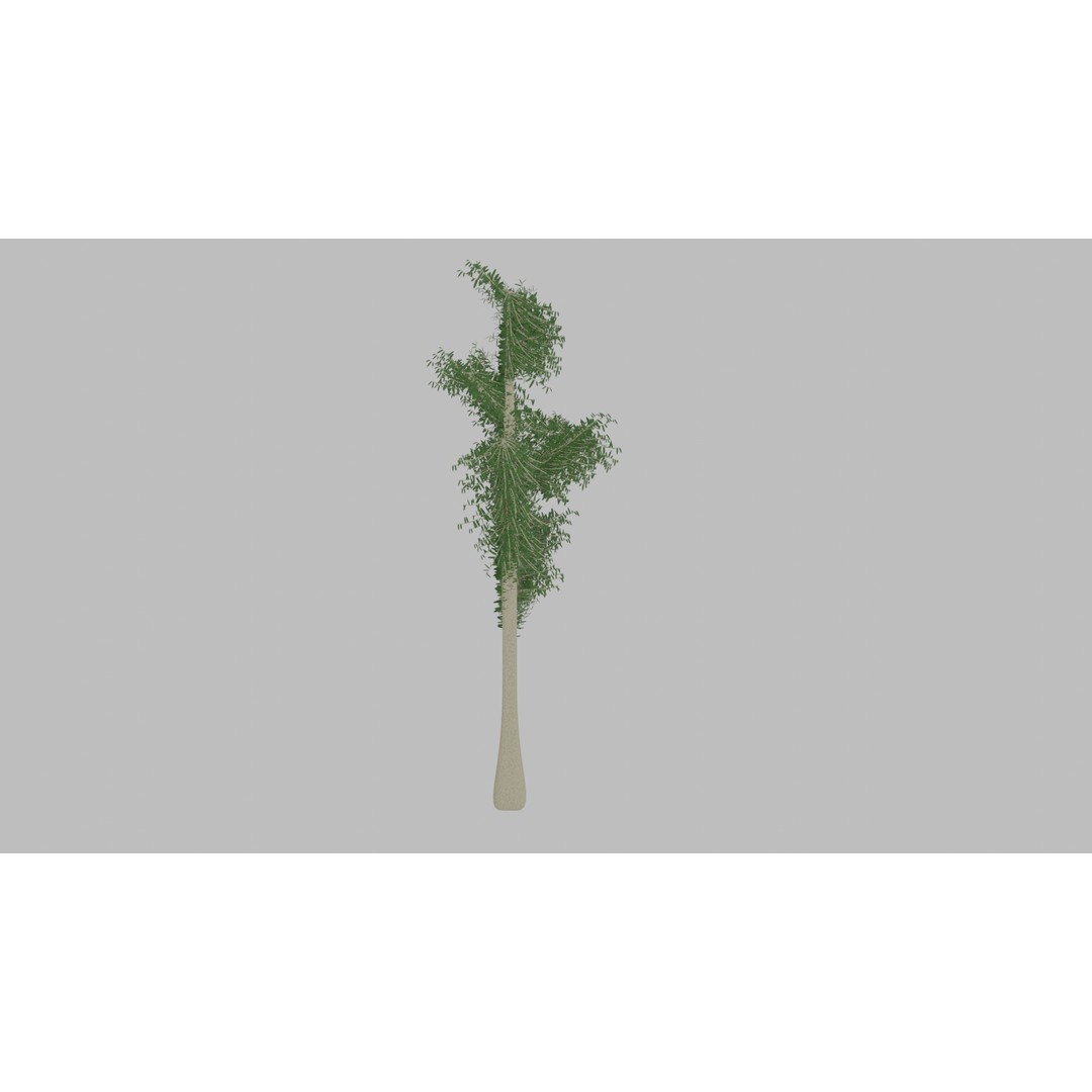 Tree 3D Model – Low Poly with Four Foliage Types, Blender - View 9