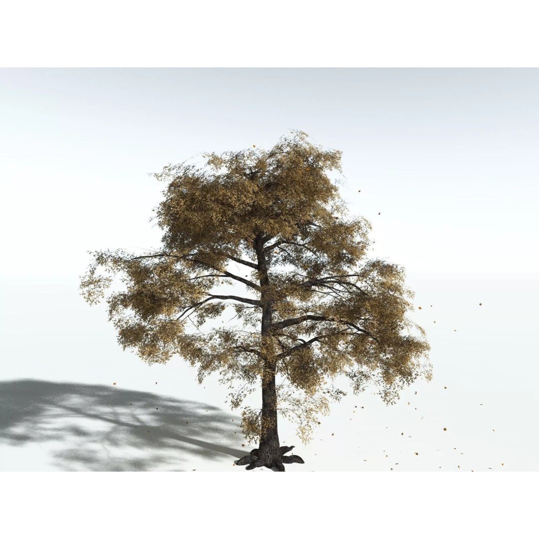Bigleaf Maple 3D Model – High Poly Tree Asset, FBX, PBR Textures - View 20