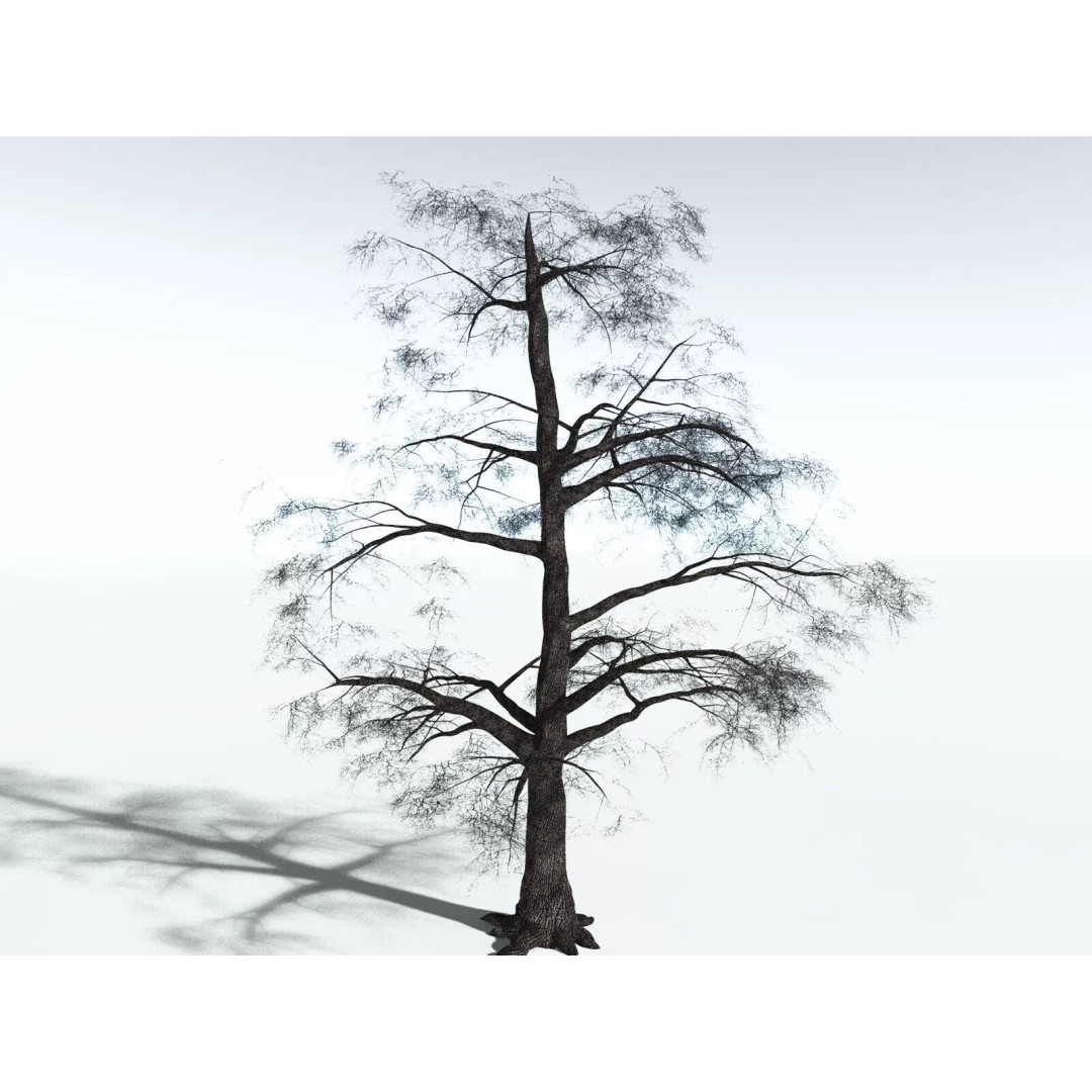 Bigleaf Maple 3D Model – High Poly Tree Asset, FBX, PBR Textures - View 22