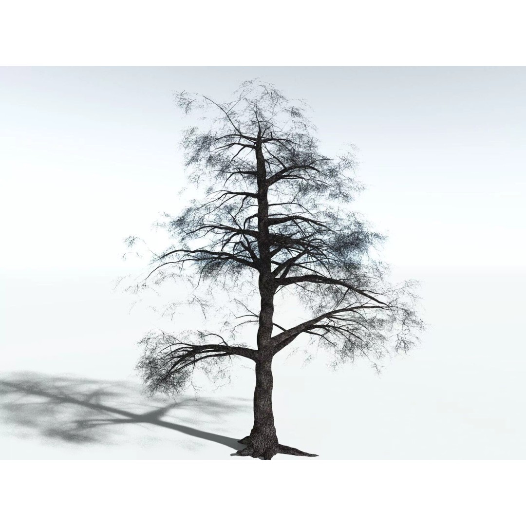 Bigleaf Maple 3D Model – High Poly Tree Asset, FBX, PBR Textures - View 24