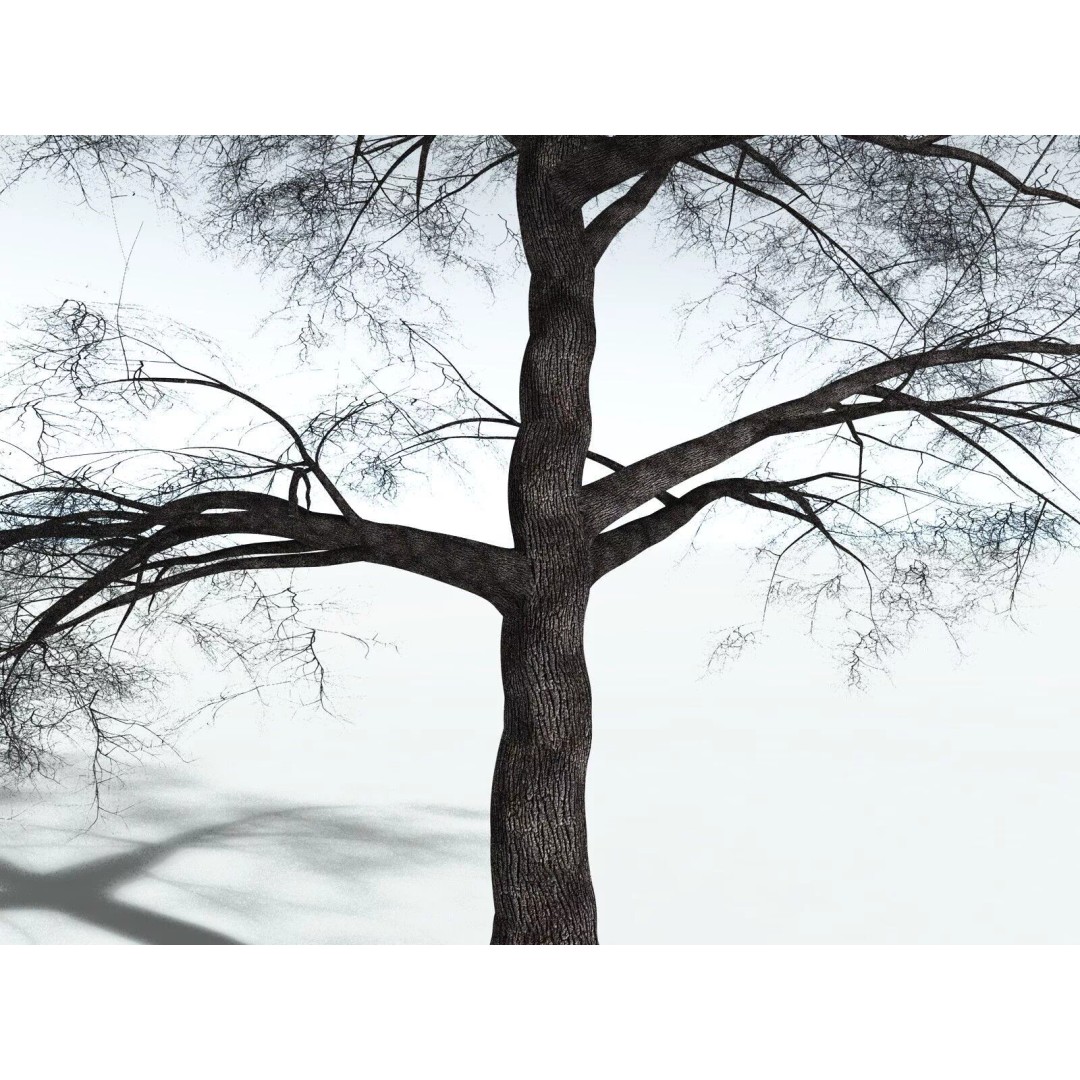 Bigleaf Maple 3D Model – High Poly Tree Asset, FBX, PBR Textures - View 25
