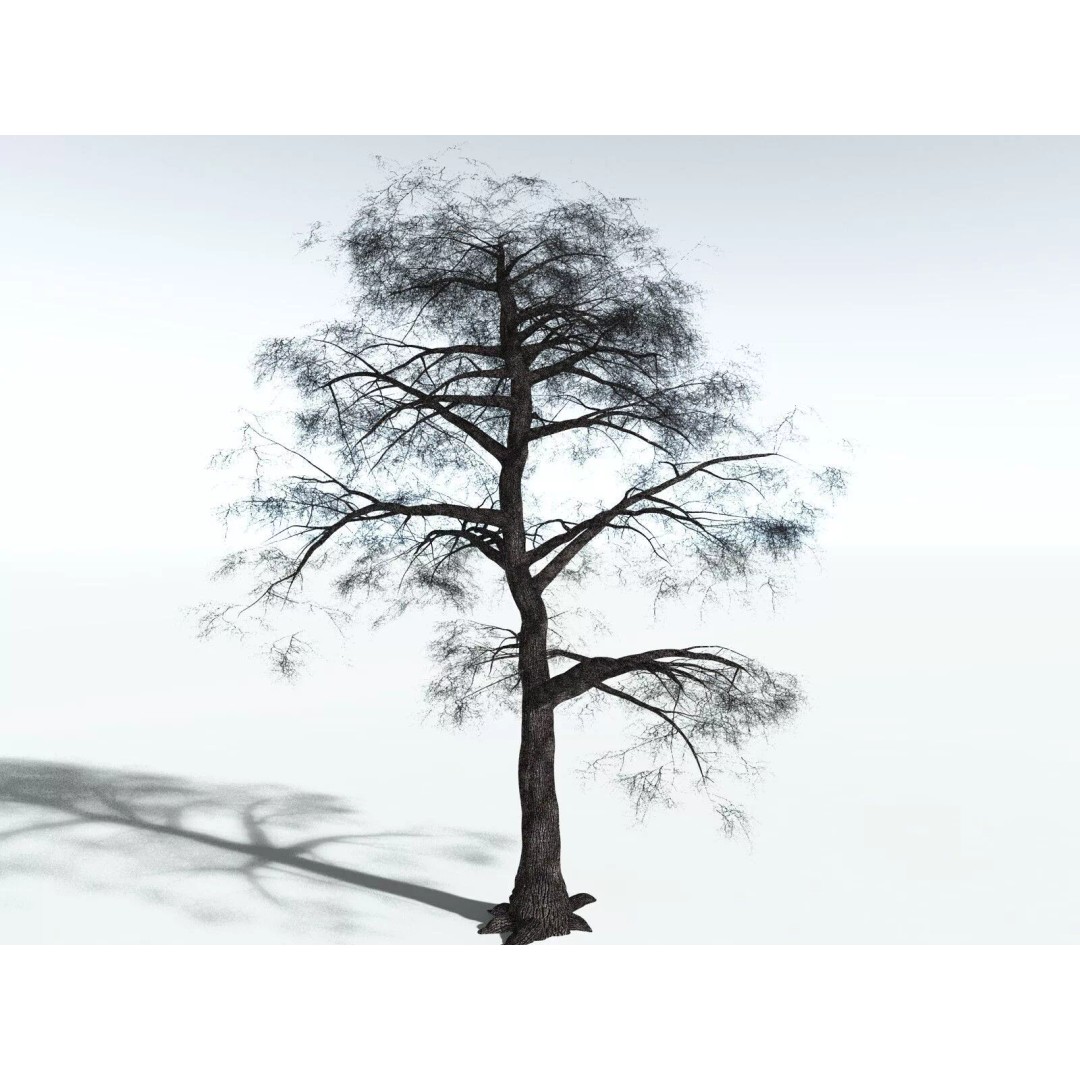 Bigleaf Maple 3D Model – High Poly Tree Asset, FBX, PBR Textures - View 26