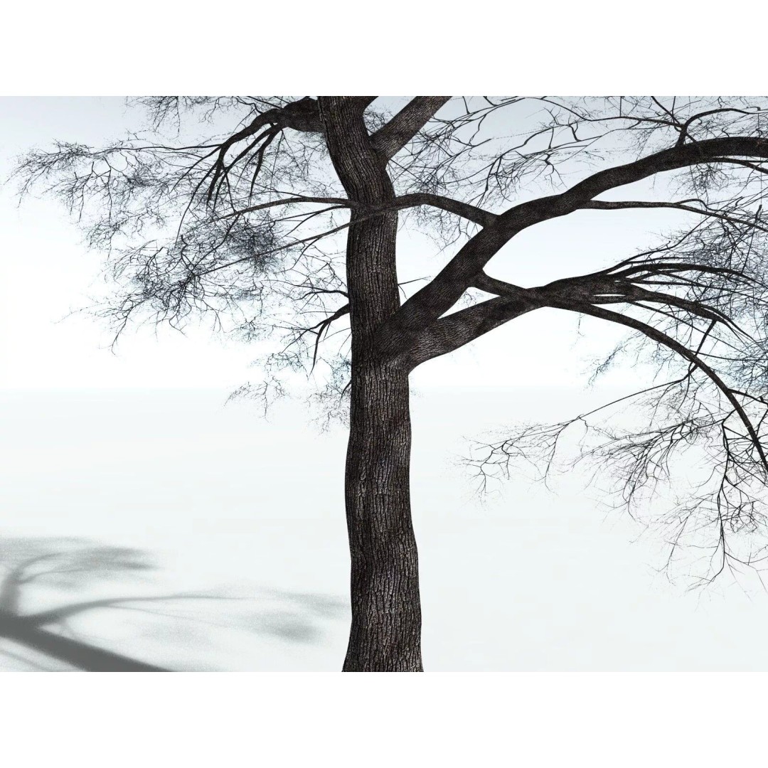 Bigleaf Maple 3D Model – High Poly Tree Asset, FBX, PBR Textures - View 27