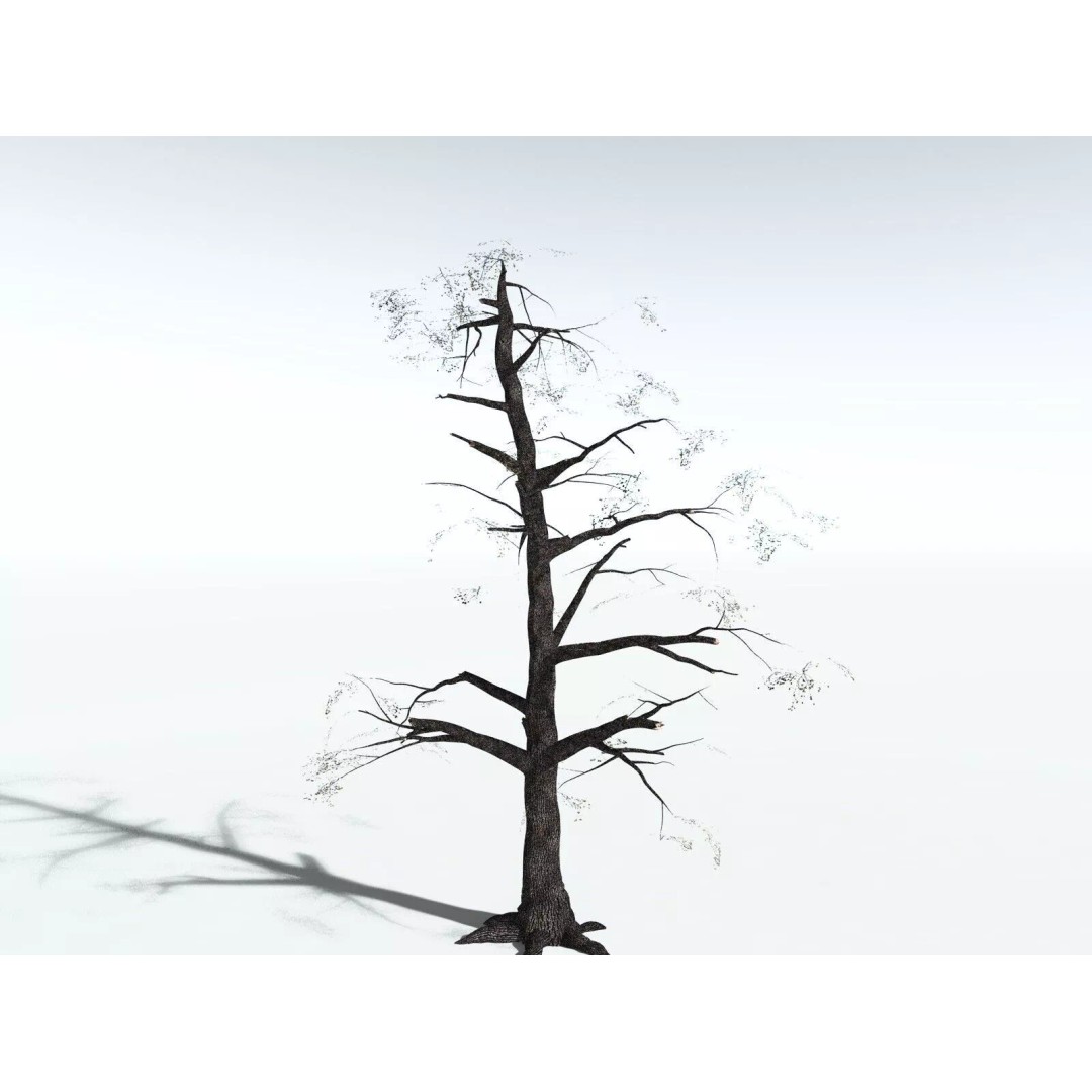 Bigleaf Maple 3D Model – High Poly Tree Asset, FBX, PBR Textures - View 36