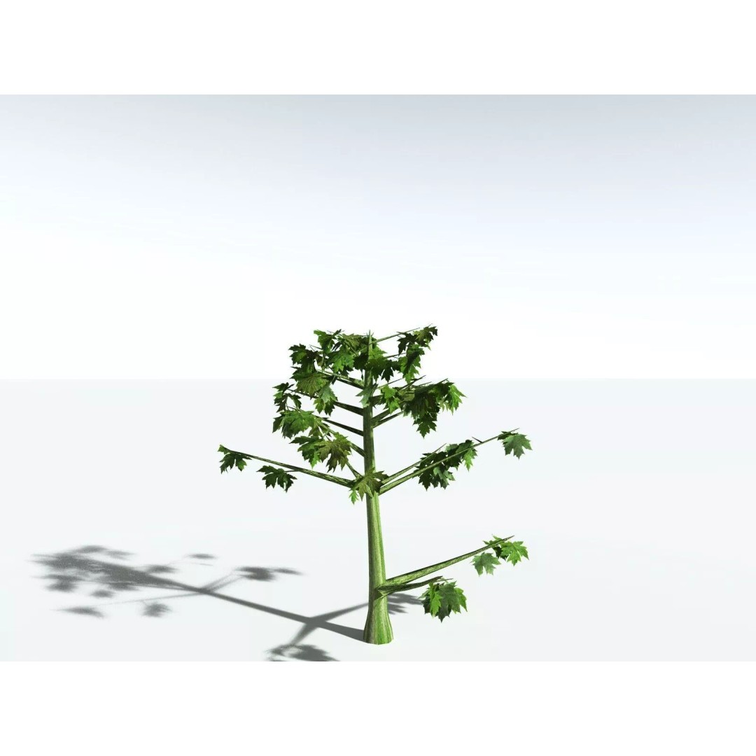 Bigleaf Maple 3D Model – High Poly Tree Asset, FBX, PBR Textures - View 49