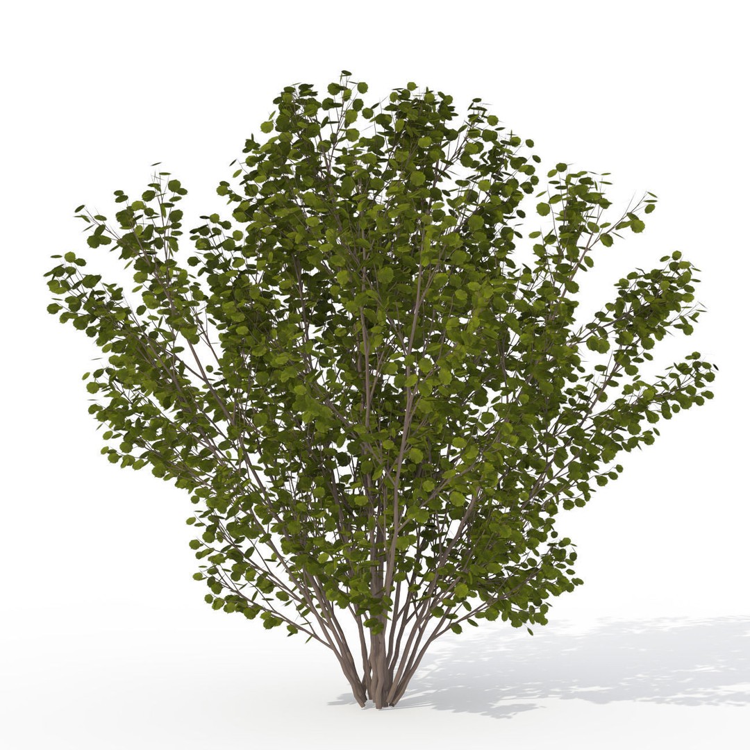 XfrogPlants Shrubs Library 3D Model – PBR Game Asset, FBX, OBJ
