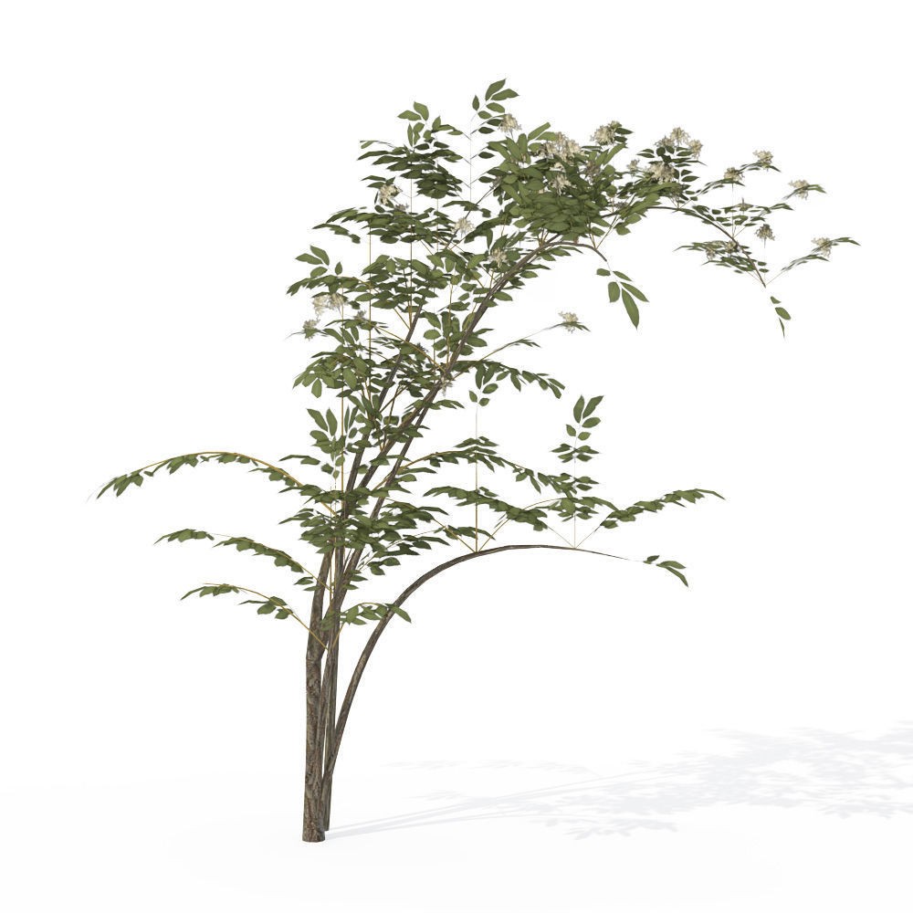XfrogPlants Shrubs Library 3D Model – PBR Game Asset, FBX, OBJ - View 11