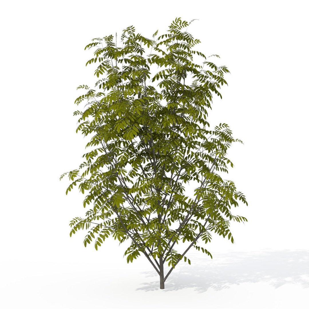 XfrogPlants Shrubs Library 3D Model – PBR Game Asset, FBX, OBJ - View 6