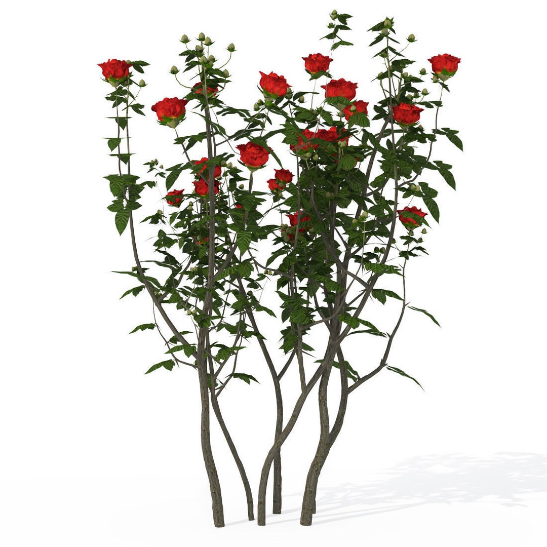 XfrogPlants Shrubs Library 3D Model – PBR Game Asset, FBX, OBJ - View 7