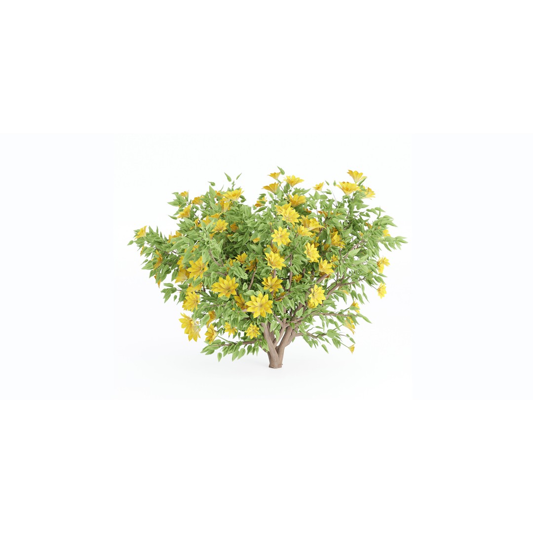 Flowering Bush 3D Model – High Poly Plants for Blender, PBR Textures - View 4