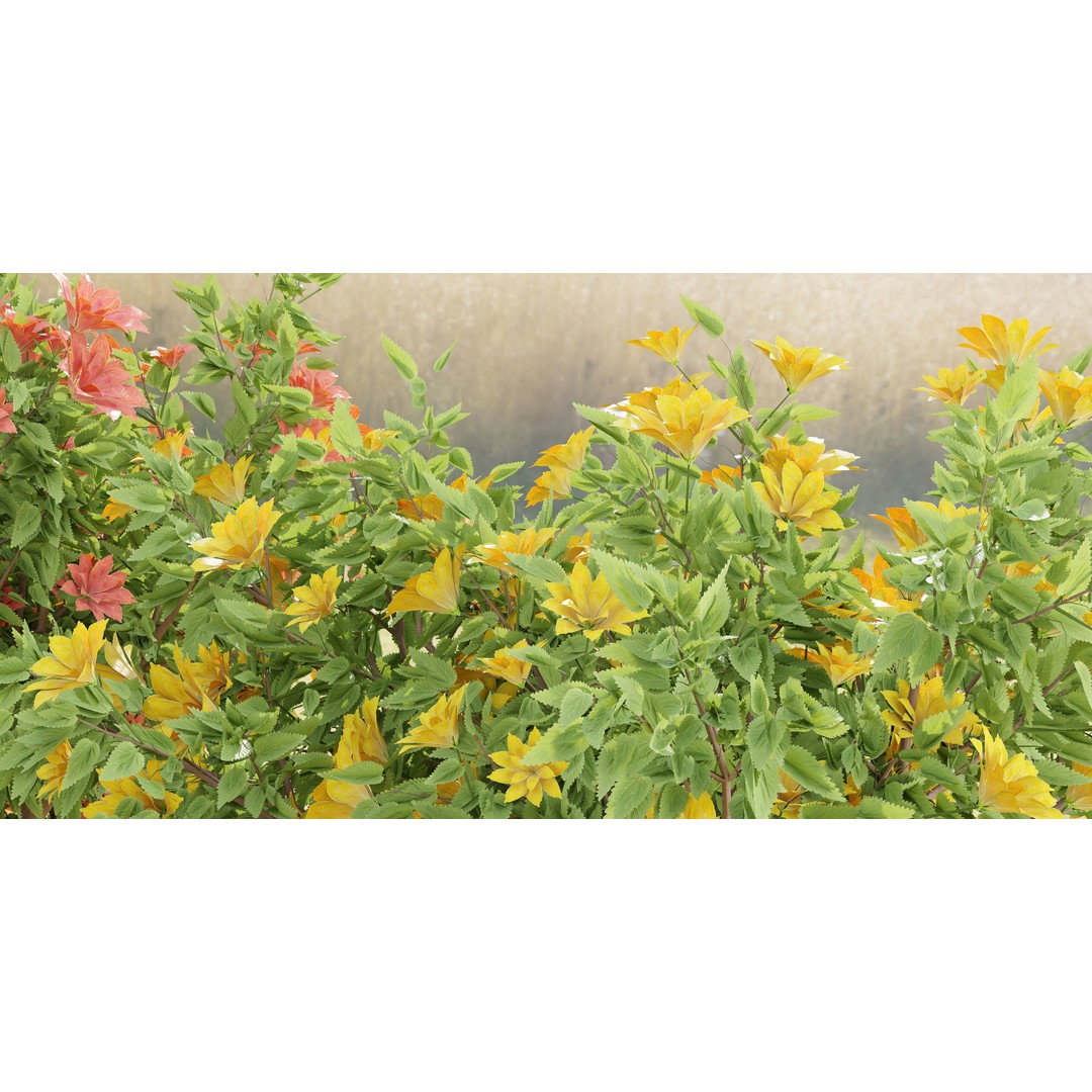 Flowering Bush 3D Model – High Poly Plants for Blender, PBR Textures - View 5