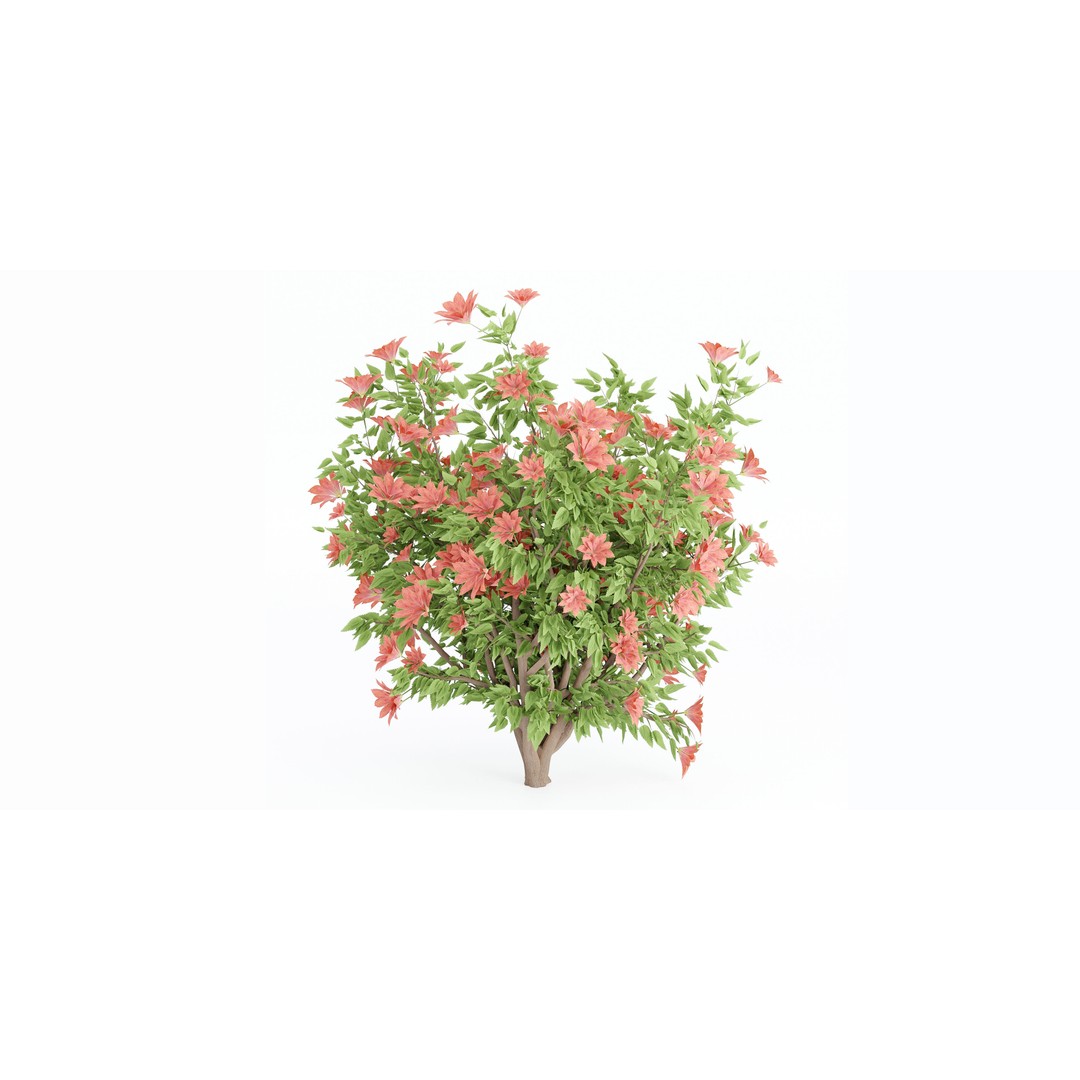 Flowering Bush 3D Model – High Poly Plants for Blender, PBR Textures - View 6