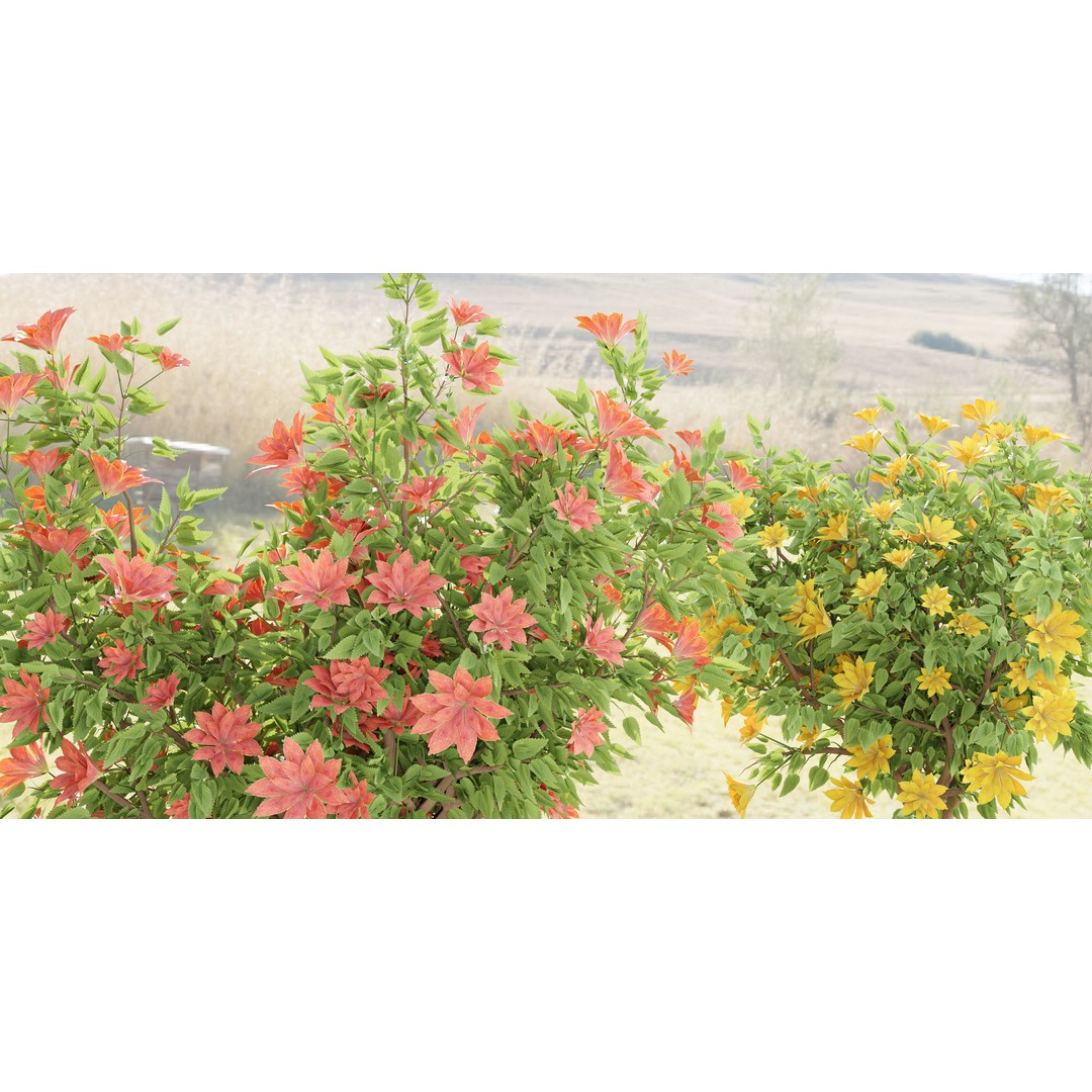Flowering Bush 3D Model – High Poly Plants for Blender, PBR Textures - View 7