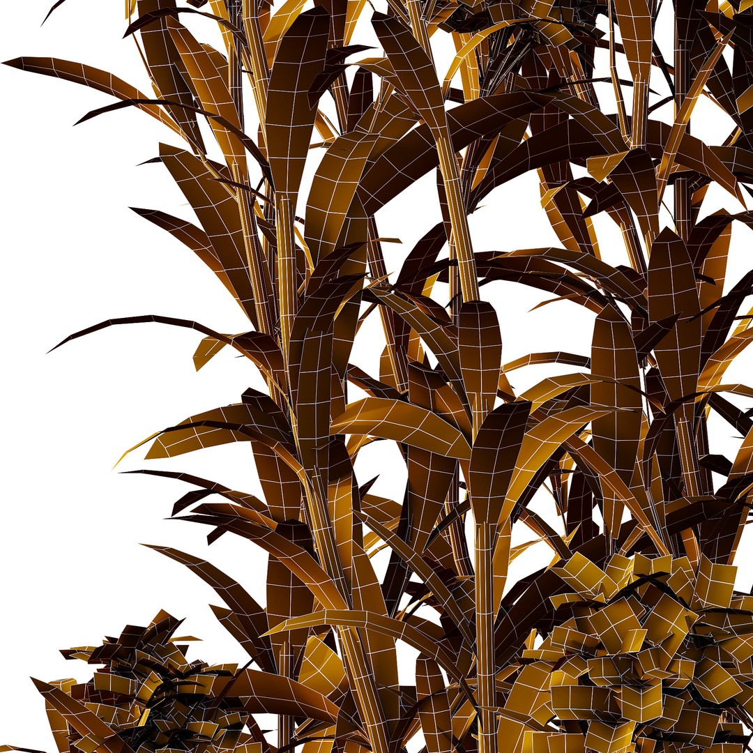 Euphorbia Palustris Plant 03 3D Model – High Poly PBR Asset, FBX/OBJ