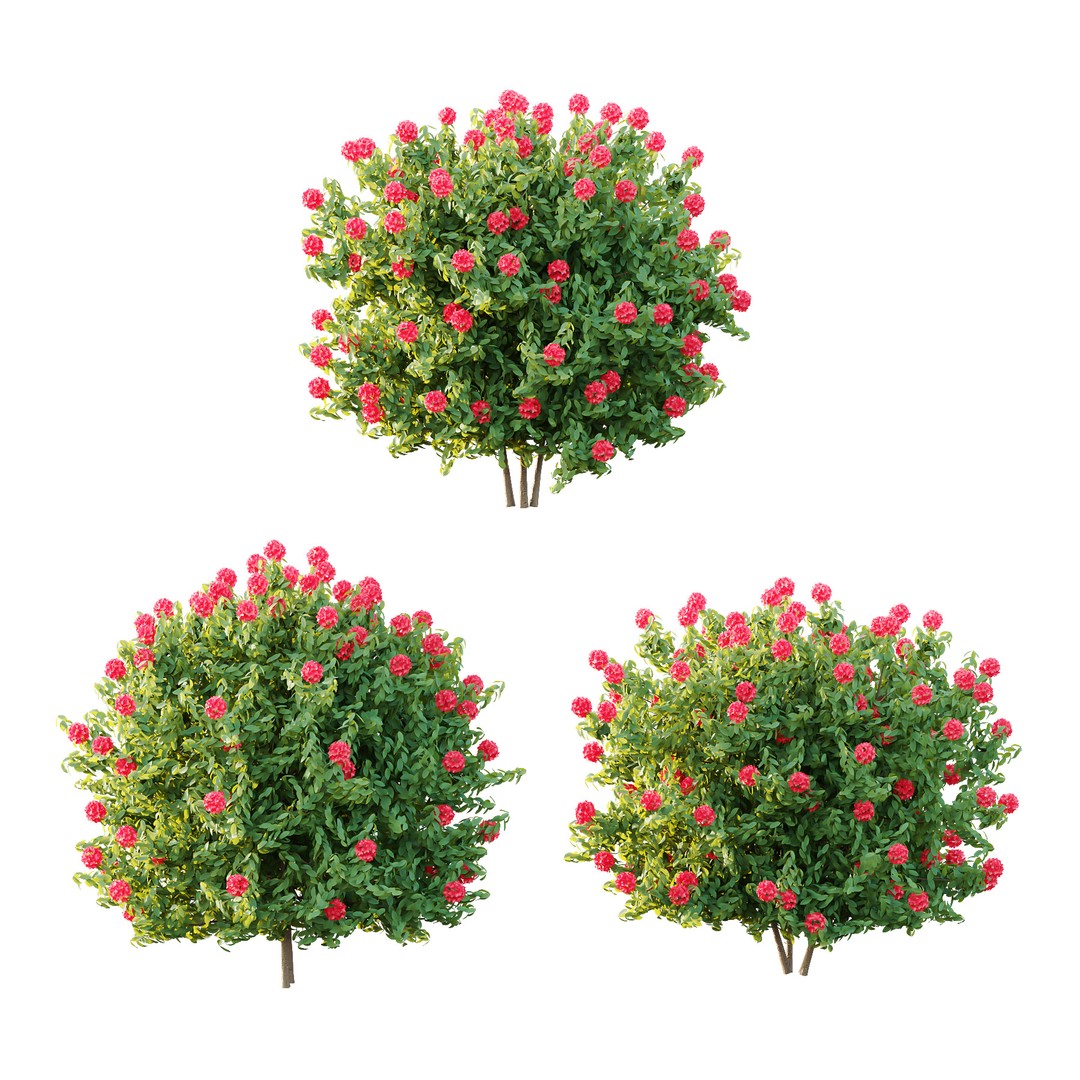 Rhododendron Arboreum Bush 3D Model – High Poly PBR Plant, FBX, OBJ