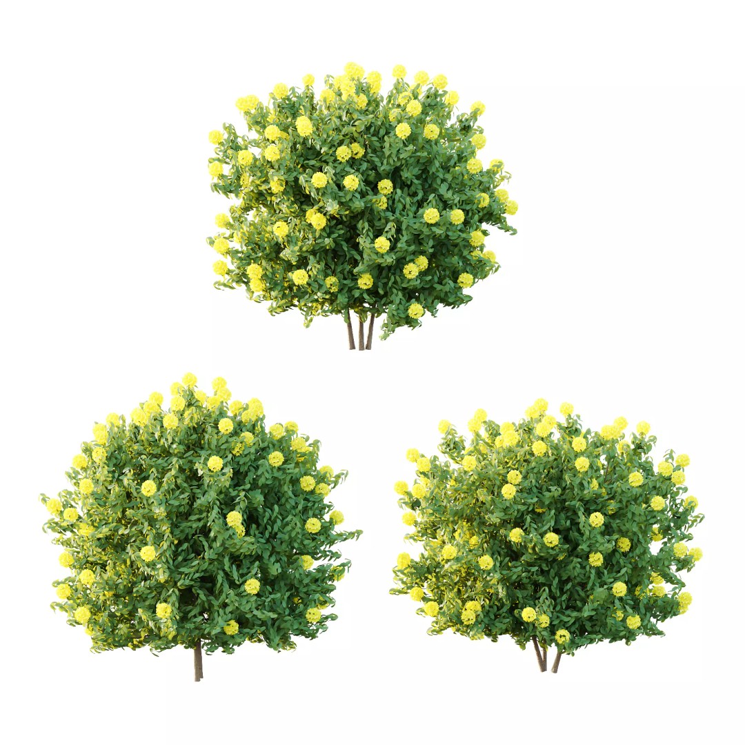 Rhododendron Arboreum Bush 3D Model – High Poly PBR Plant, FBX, OBJ - View 2