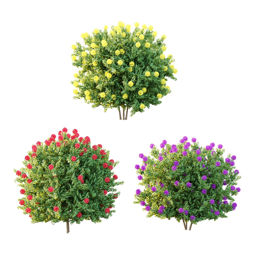 Rhododendron Arboreum Bush 3D Model – High Poly PBR Plant, FBX, OBJ - View 3
