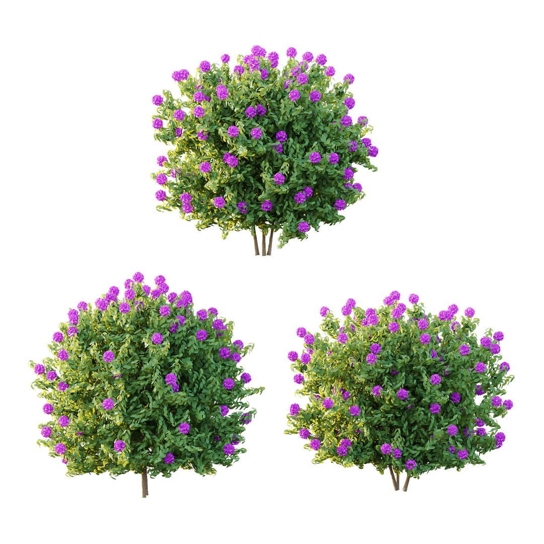 Rhododendron Arboreum Bush 3D Model – High Poly PBR Plant, FBX, OBJ - View 5