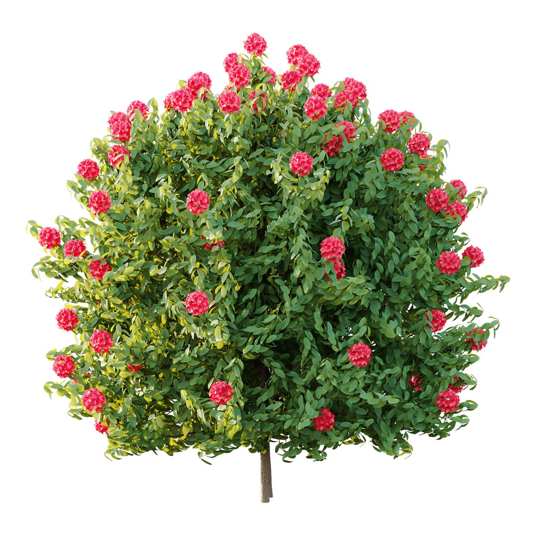 Rhododendron Arboreum Bush 3D Model – High Poly PBR Plant, FBX, OBJ - View 6