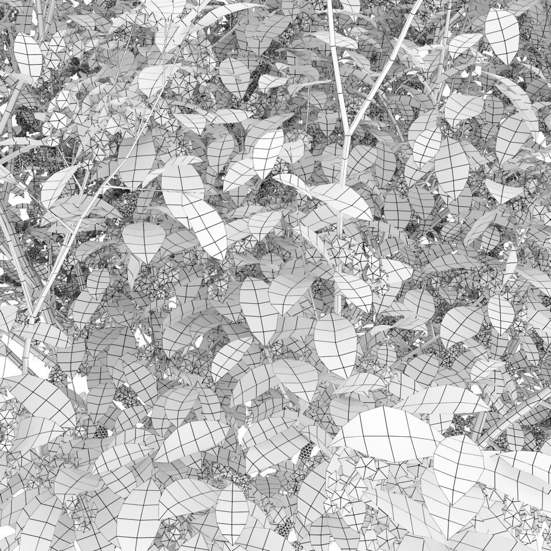 Prunus Padus 3D Model – Blooming Tree Asset, PBR Textures, FBX - View 7