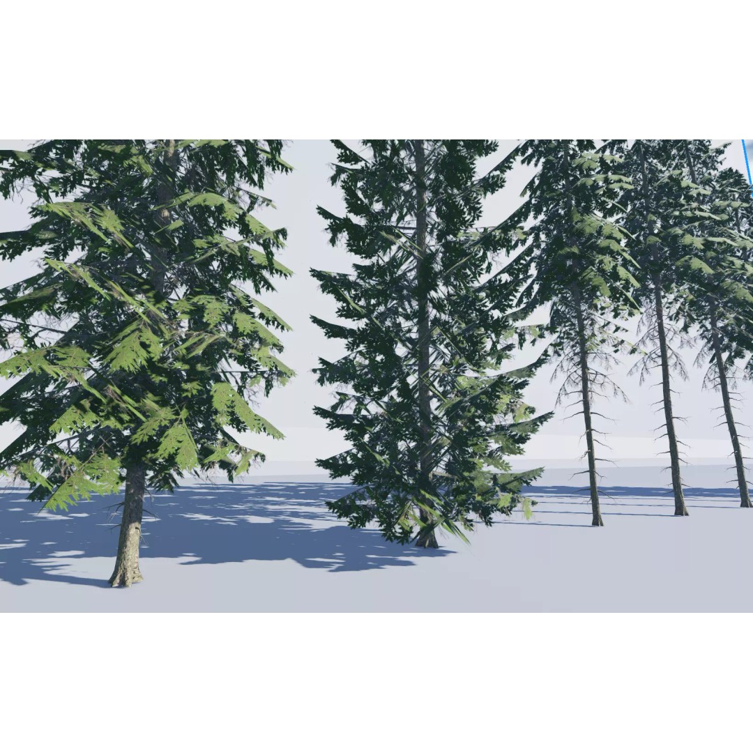 Realistic White Spruce Tree Pack 3D Model – Low Poly PBR Game Asset, FBX - View 12