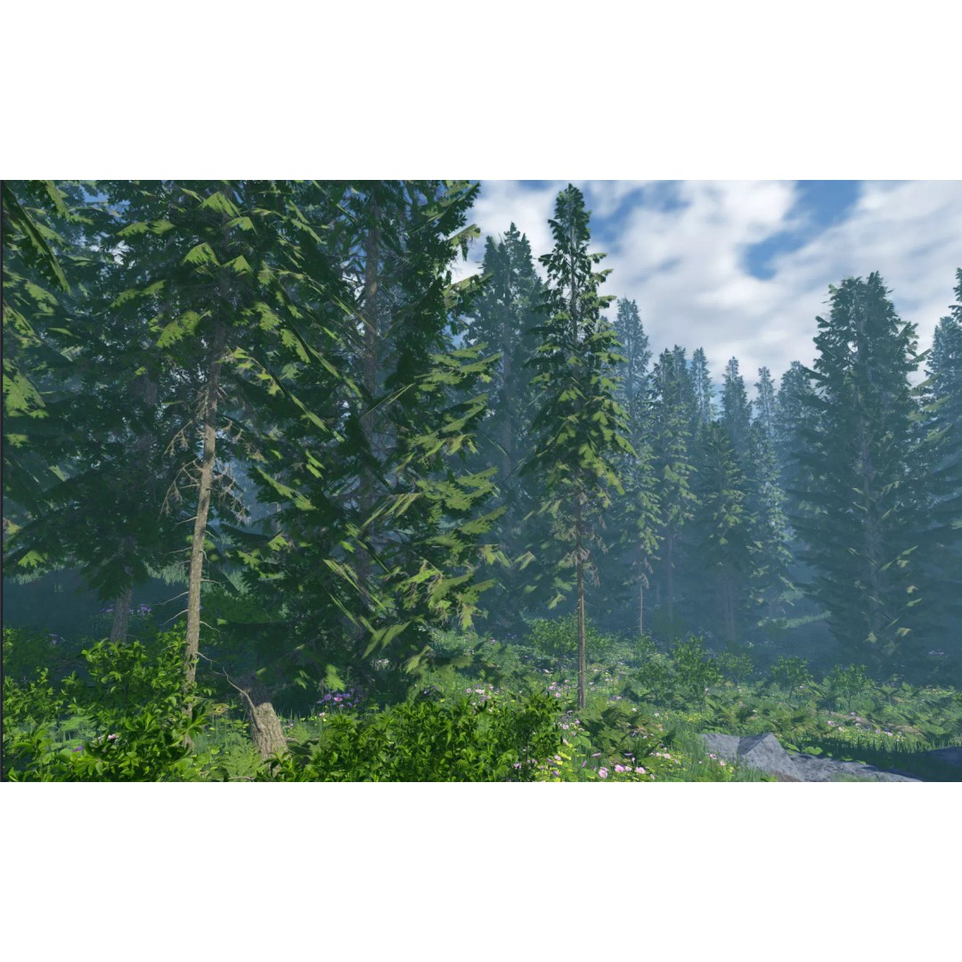 Realistic White Spruce Tree Pack 3D Model – Low Poly PBR Game Asset, FBX - View 2