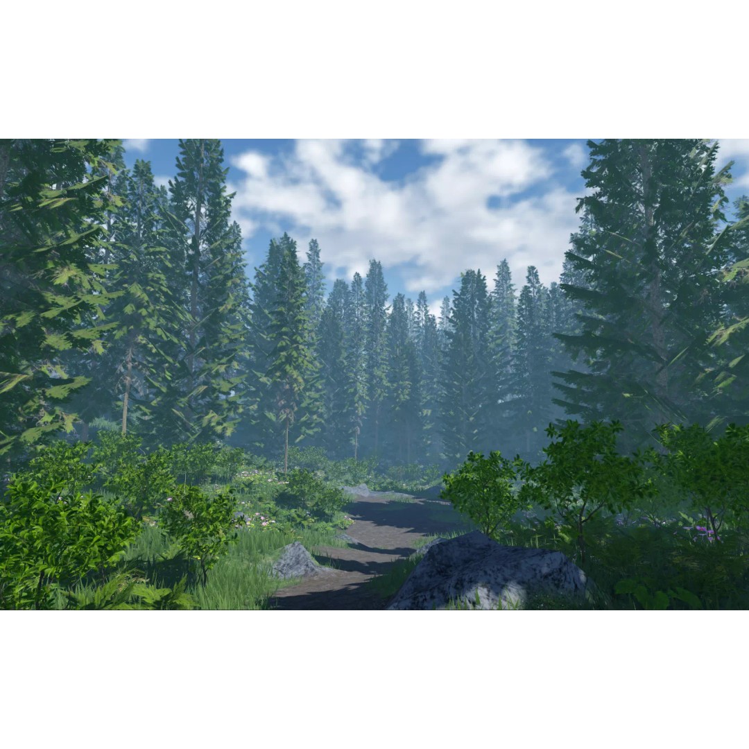 Realistic White Spruce Tree Pack 3D Model – Low Poly PBR Game Asset, FBX - View 3