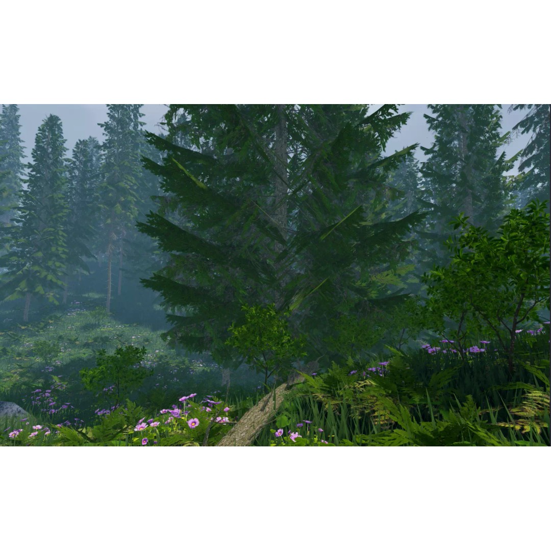 Realistic White Spruce Tree Pack 3D Model – Low Poly PBR Game Asset, FBX - View 4
