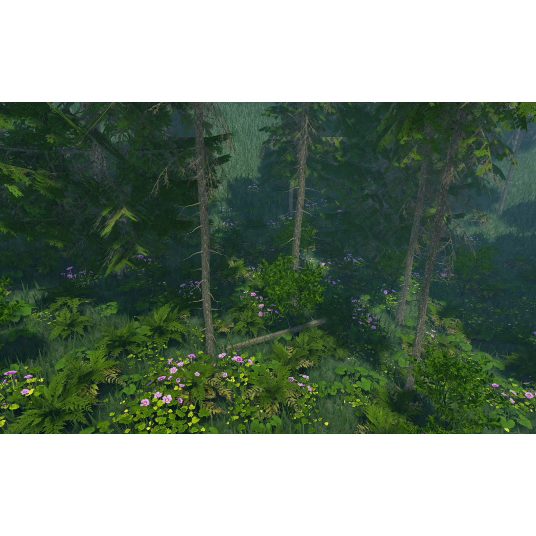Realistic White Spruce Tree Pack 3D Model – Low Poly PBR Game Asset, FBX - View 5