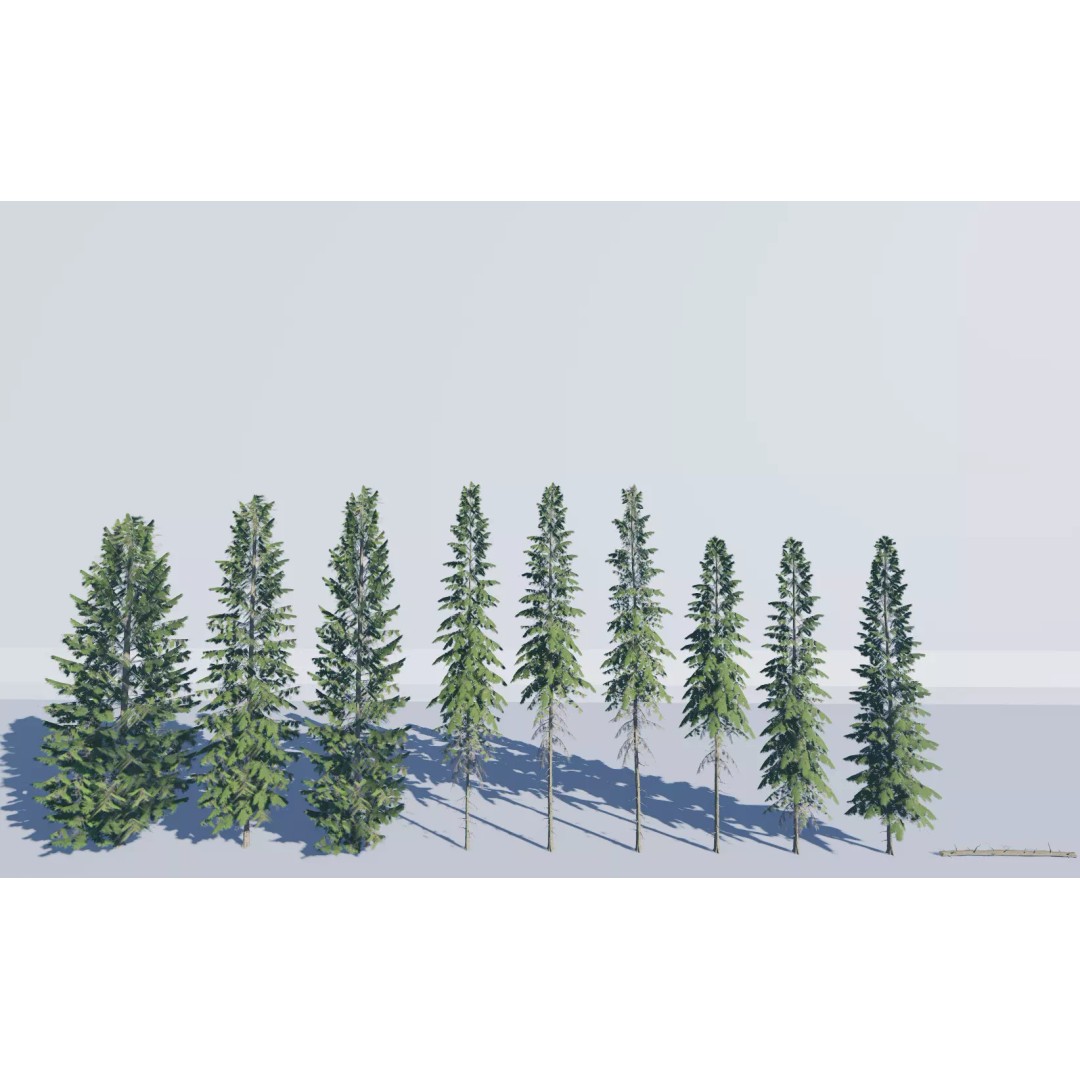 Realistic White Spruce Tree Pack 3D Model – Low Poly PBR Game Asset, FBX - View 6