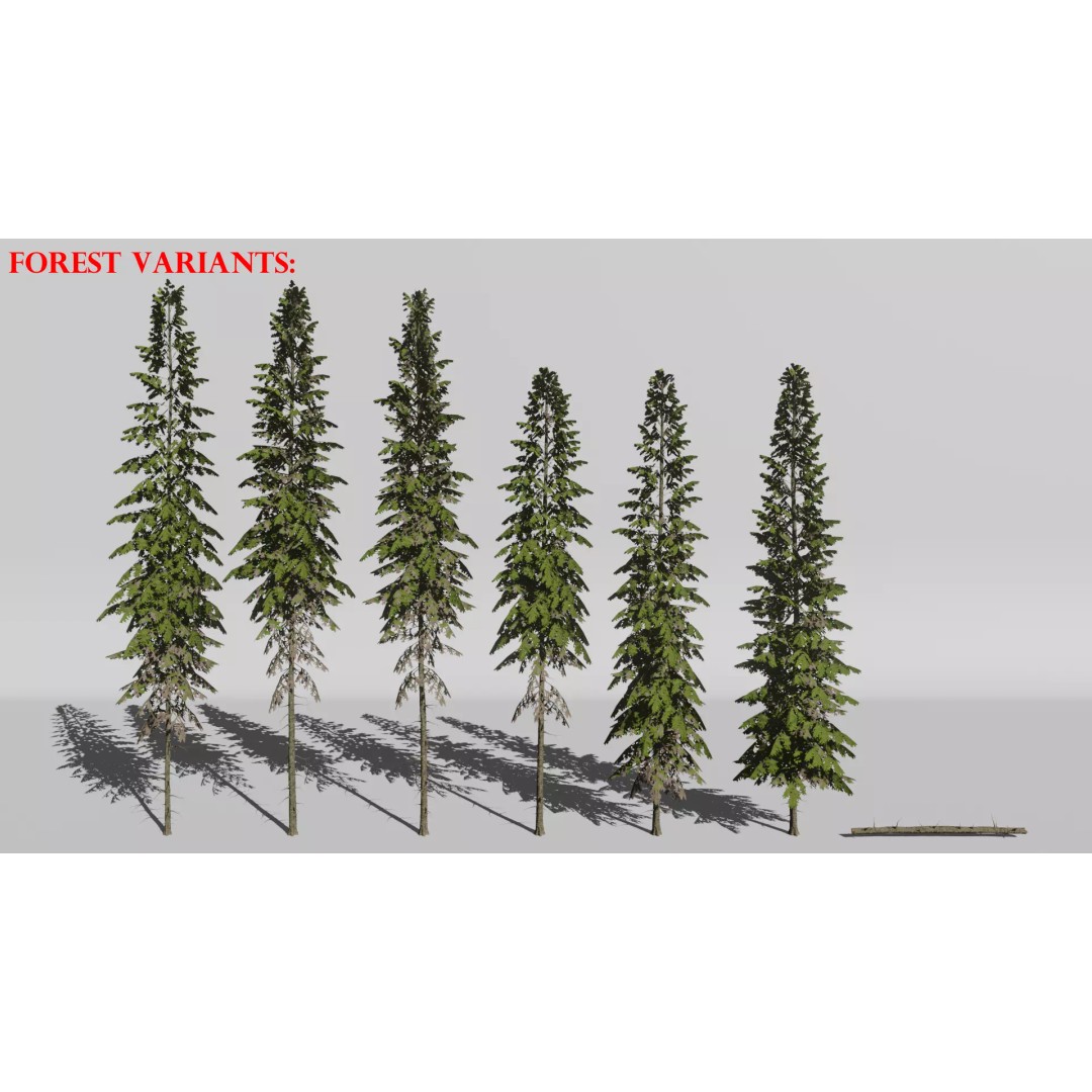 Realistic White Spruce Tree Pack 3D Model – Low Poly PBR Game Asset, FBX - View 7