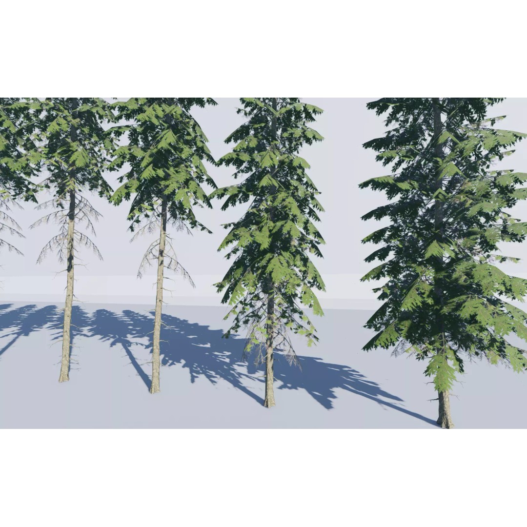Realistic White Spruce Tree Pack 3D Model – Low Poly PBR Game Asset, FBX - View 9