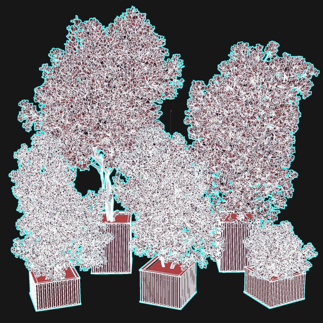 Indoor Plant 3D Model – Wooden Box Pot with Dirt and Leaves