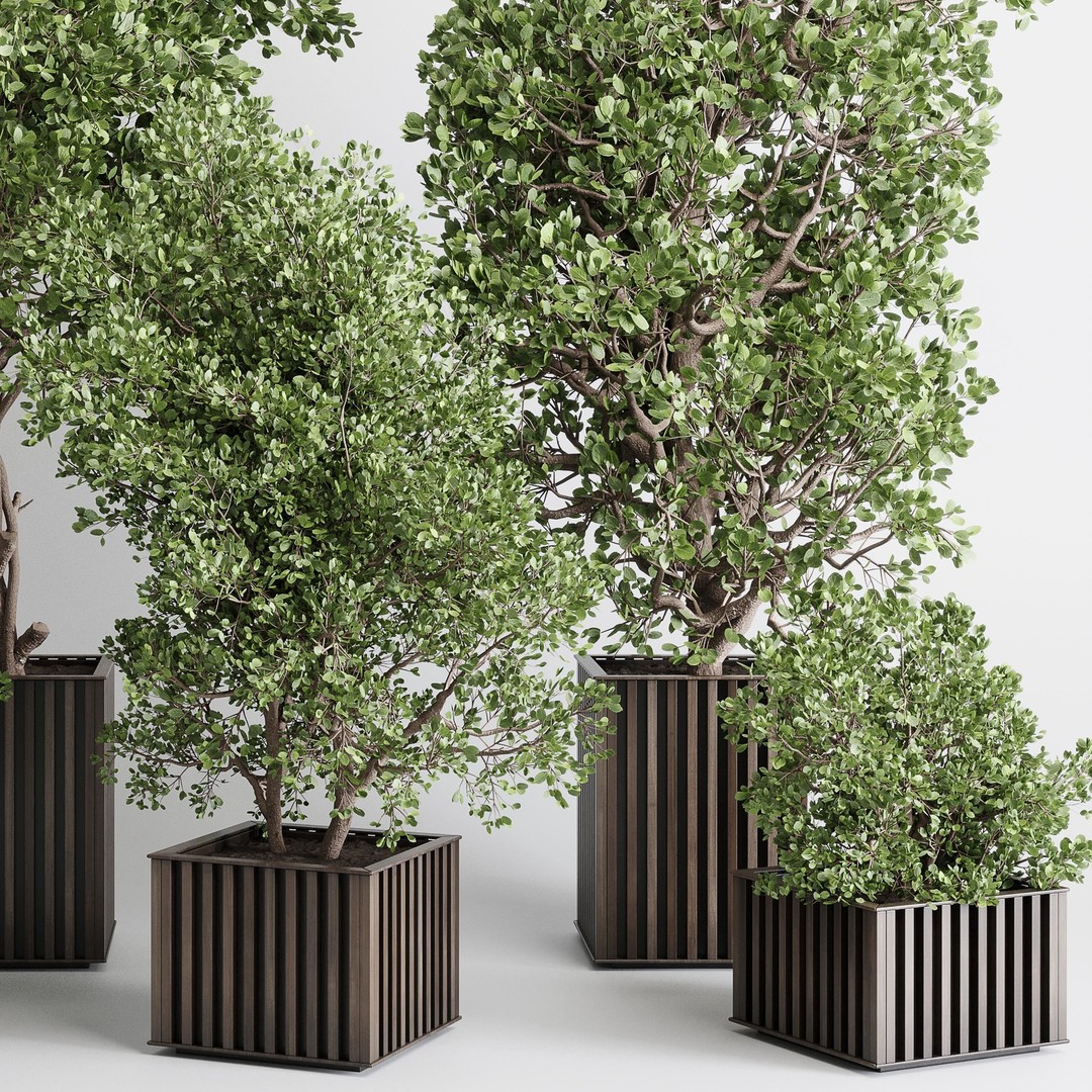 Indoor Plant 3D Model – Wooden Box Pot with Dirt and Leaves - View 6