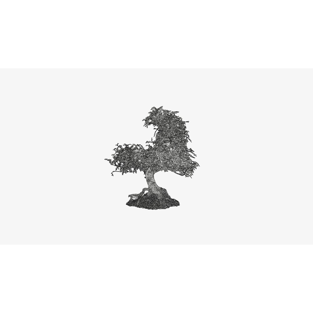 Enchanted Tree 3D Model – Photorealistic Bonsai for Game Assets, PBR
