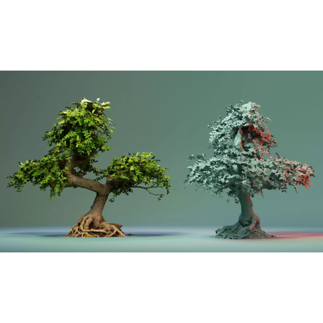 Enchanted Tree 3D Model – Photorealistic Bonsai for Game Assets, PBR - View 2
