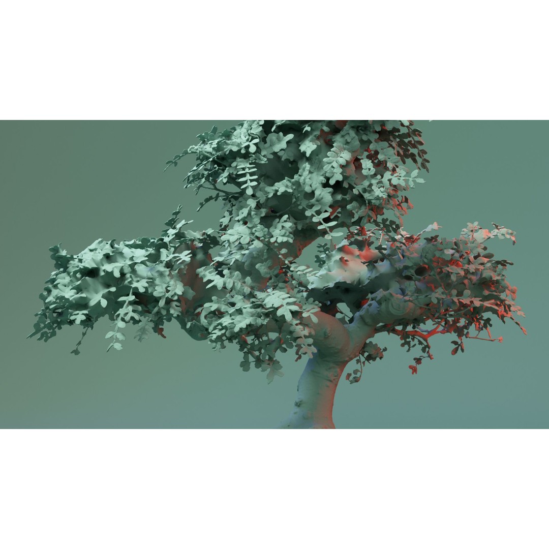 Enchanted Tree 3D Model – Photorealistic Bonsai for Game Assets, PBR - View 3