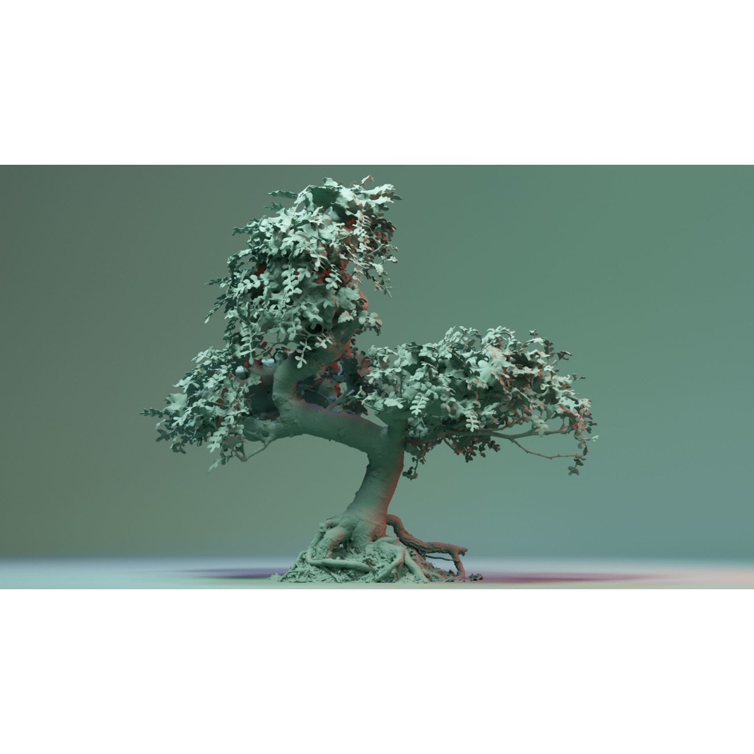 Enchanted Tree 3D Model – Photorealistic Bonsai for Game Assets, PBR - View 5