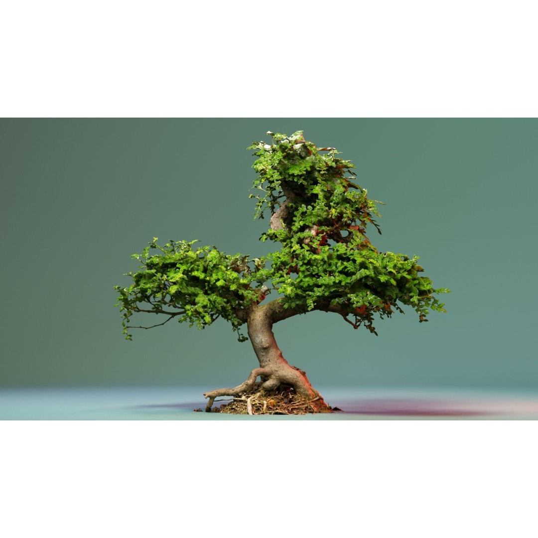 Enchanted Tree 3D Model – Photorealistic Bonsai for Game Assets, PBR - View 6