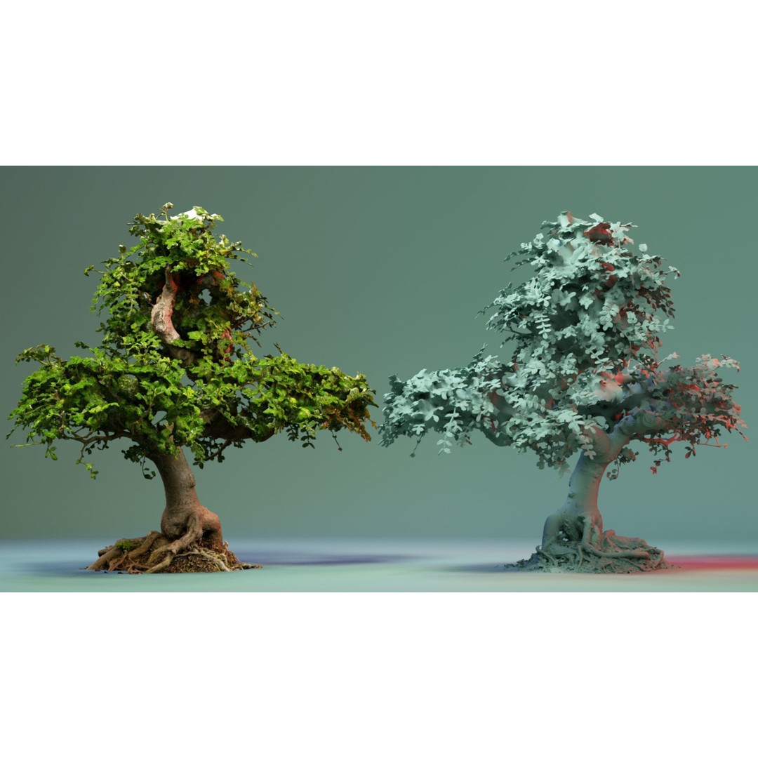 Enchanted Tree 3D Model – Photorealistic Bonsai for Game Assets, PBR - View 7