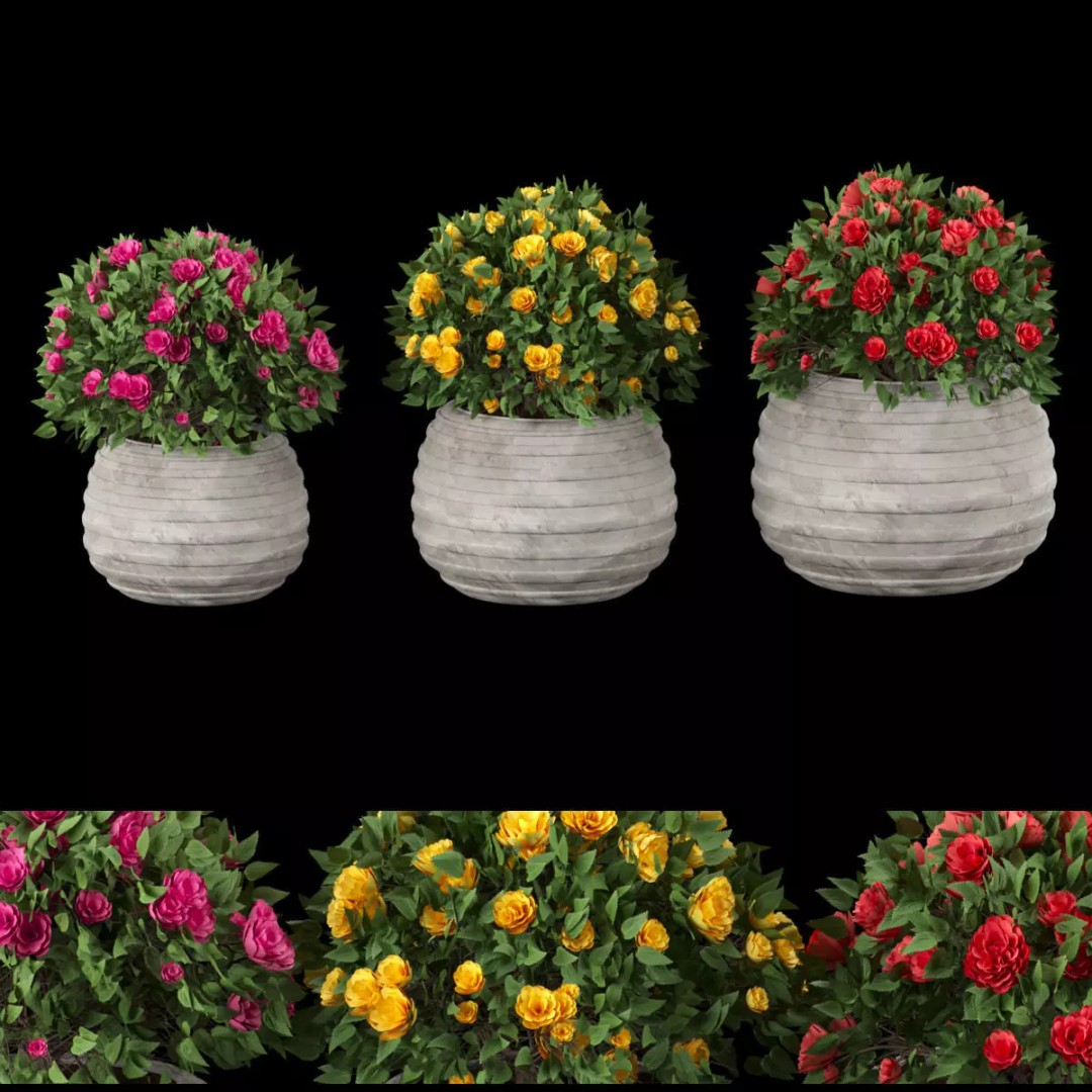 Flowering Bush 3D Model – High Poly PBR Asset, FBX & OBJ - View 2