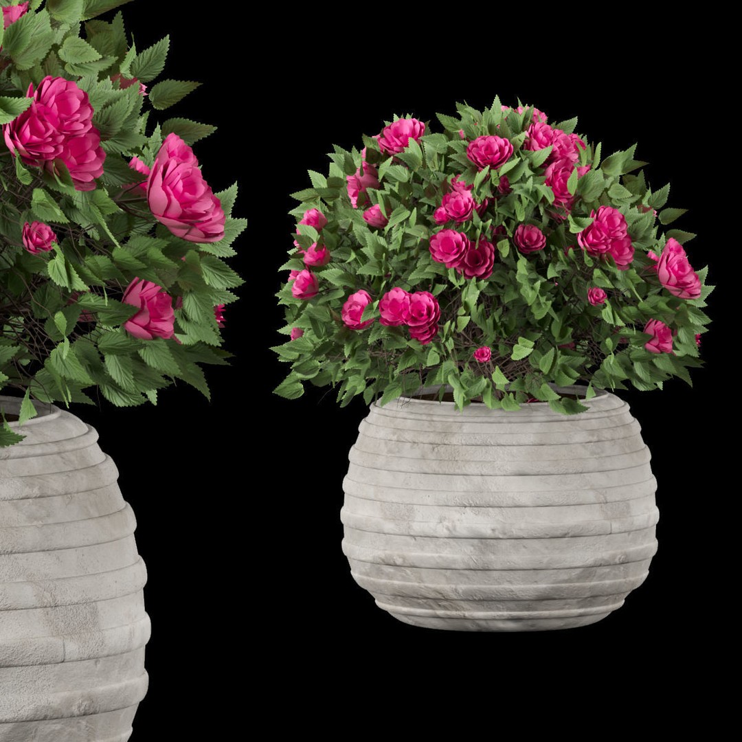 Flowering Bush 3D Model – High Poly PBR Asset, FBX & OBJ - View 3