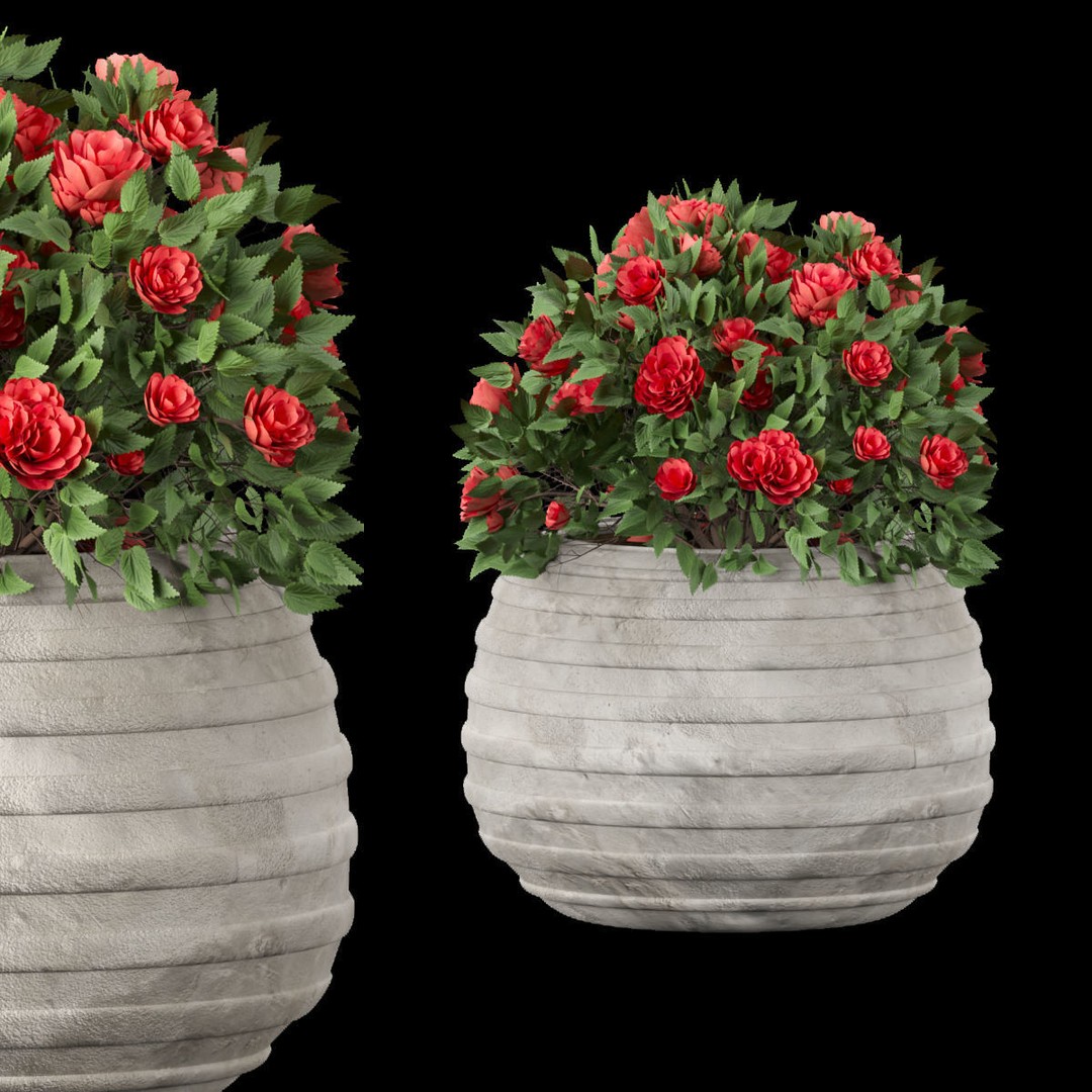 Flowering Bush 3D Model – High Poly PBR Asset, FBX & OBJ - View 5
