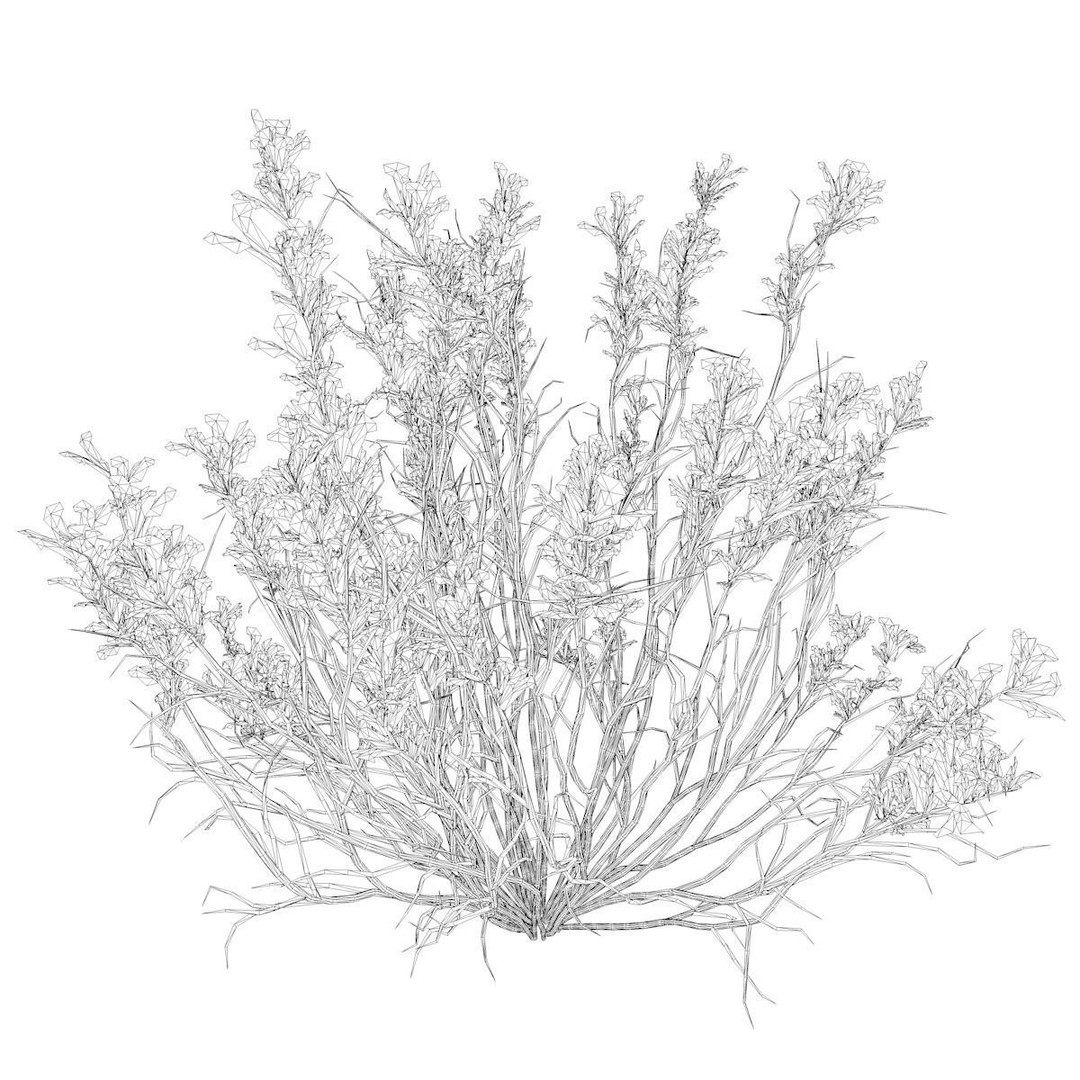 Broom Snakeweed 3D Model – Photorealistic Bush with PBR Textures, FBX - View 3