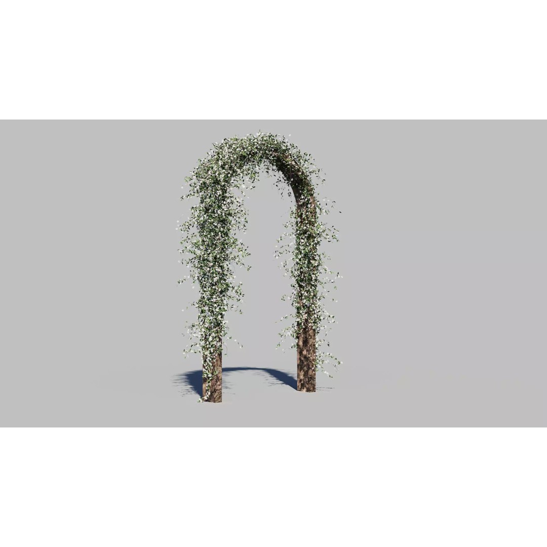 Jasminum Officinale Climbing 3D Model – High Detail, FBX & OBJ Formats - View 2