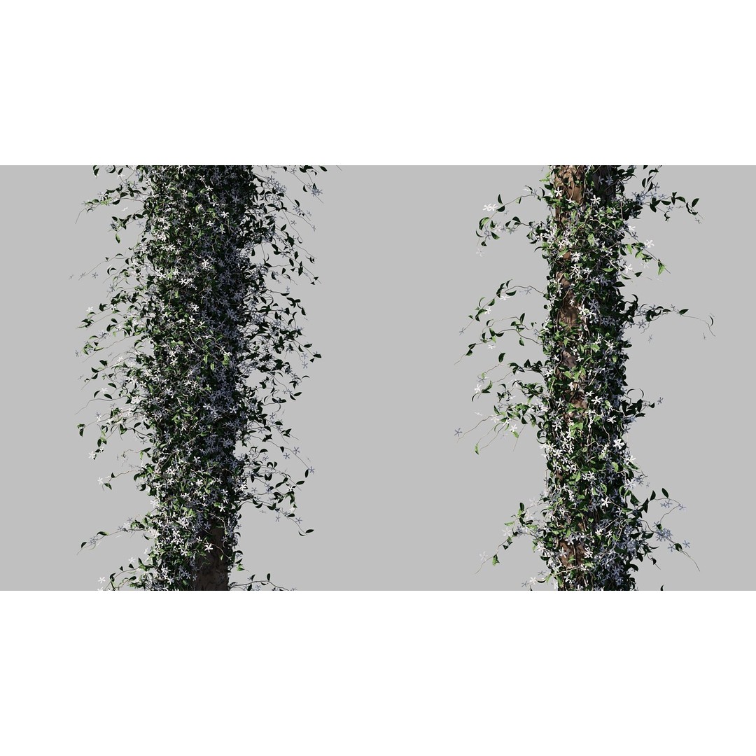Jasminum Officinale Climbing 3D Model – High Detail, FBX & OBJ Formats - View 4